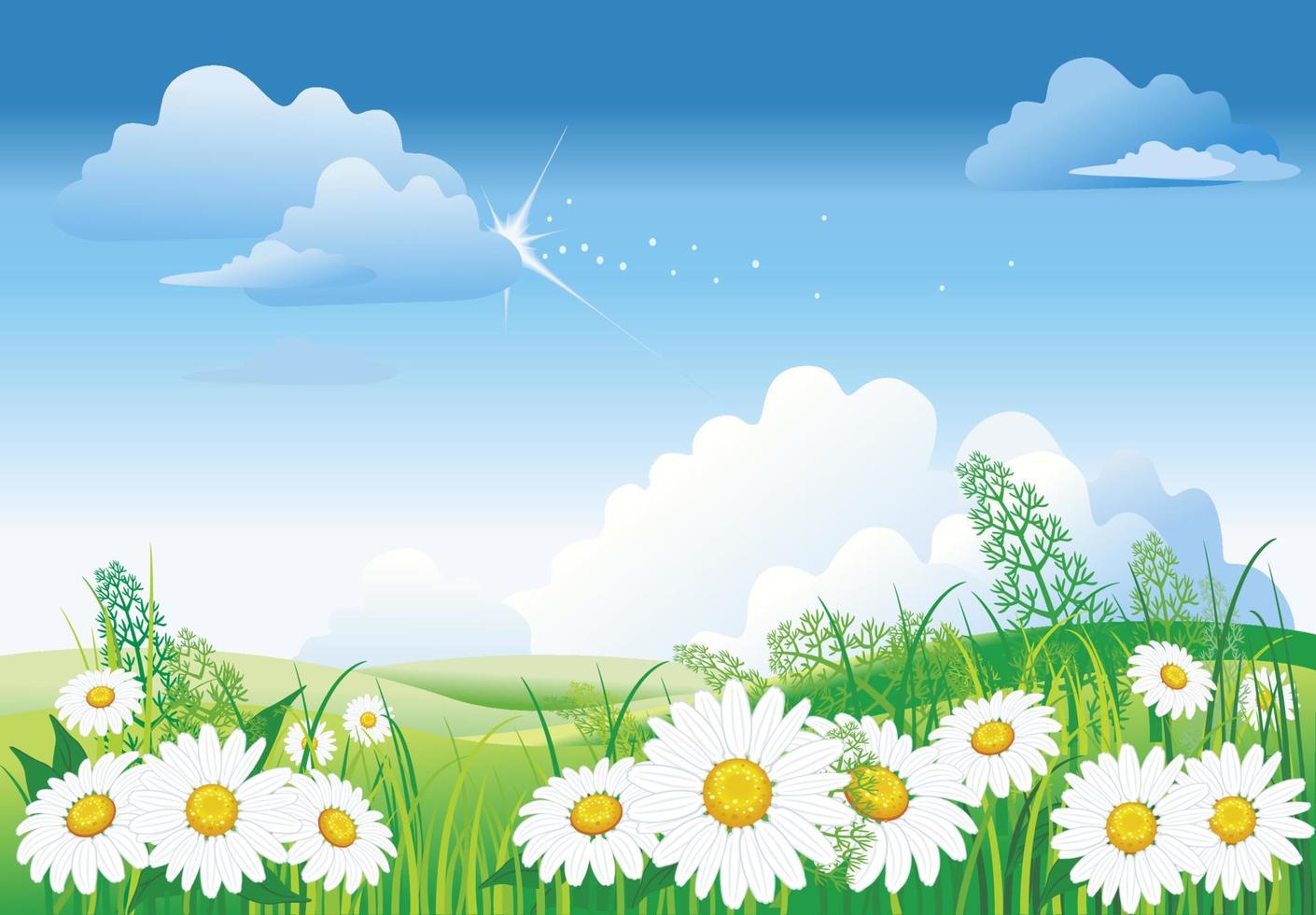 Chamomile on blue sky vector