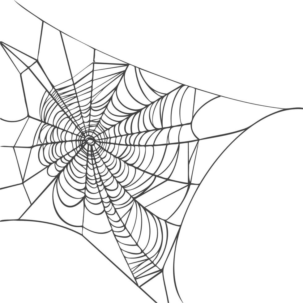 tela de araña aislado sobre fondo blanco. boceto de línea dibujado a mano realista. telarañas espeluznantes de halloween. esquema negro ilustración vectorial. vector