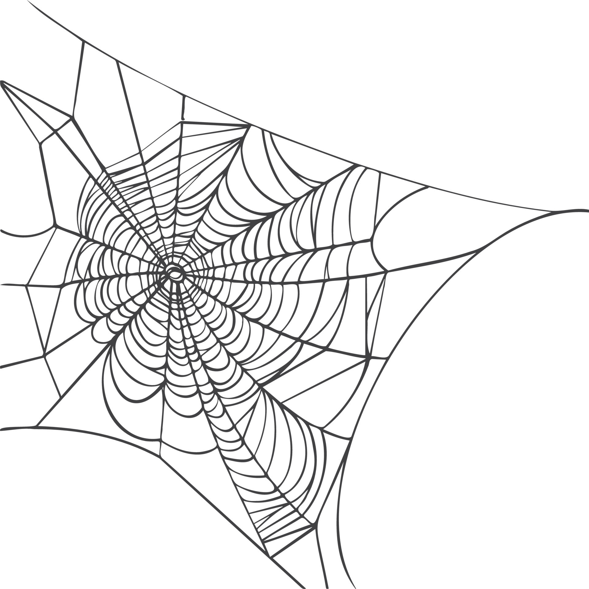 Web drawing best sale
