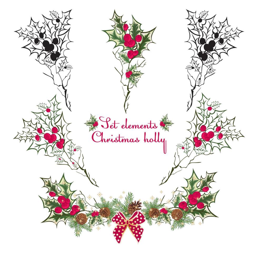 Set Hand drawing floral holly elements vector