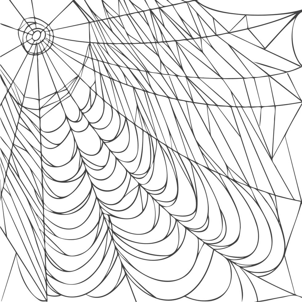 Spider web isolated on white background. Realistic hand drawn line sketch. Halloween spooky cobwebs. Outline black vector illustration.