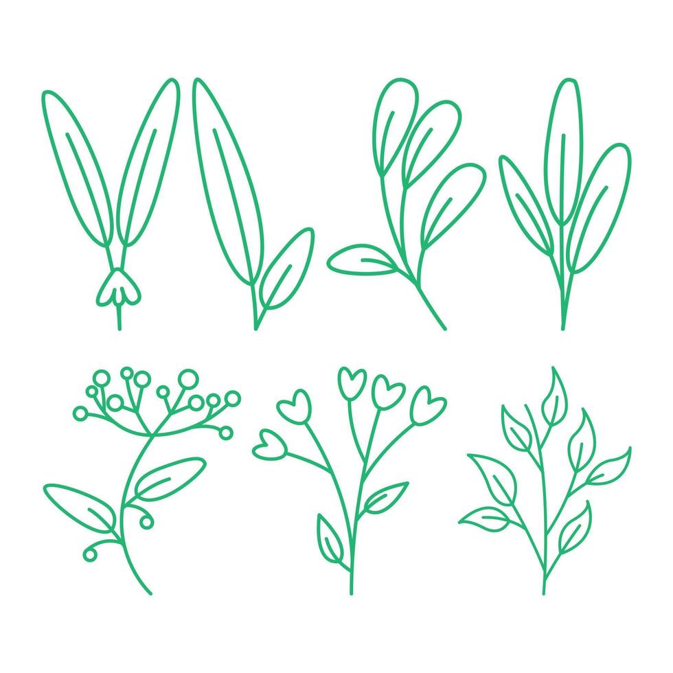 Set of  hand drawn outline doodle leaves illustration collection vector