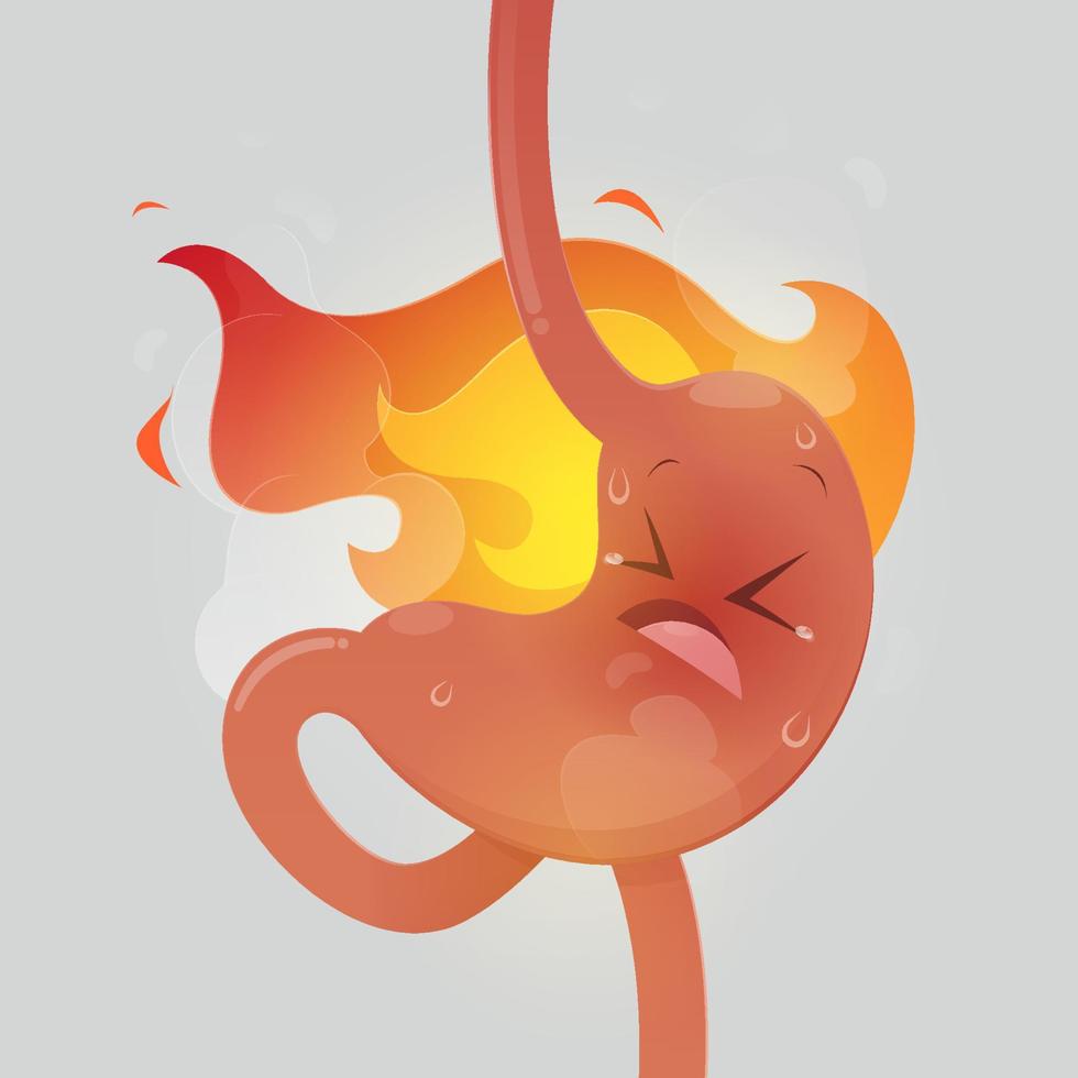 Illustration from acid reflux or heartburn vector