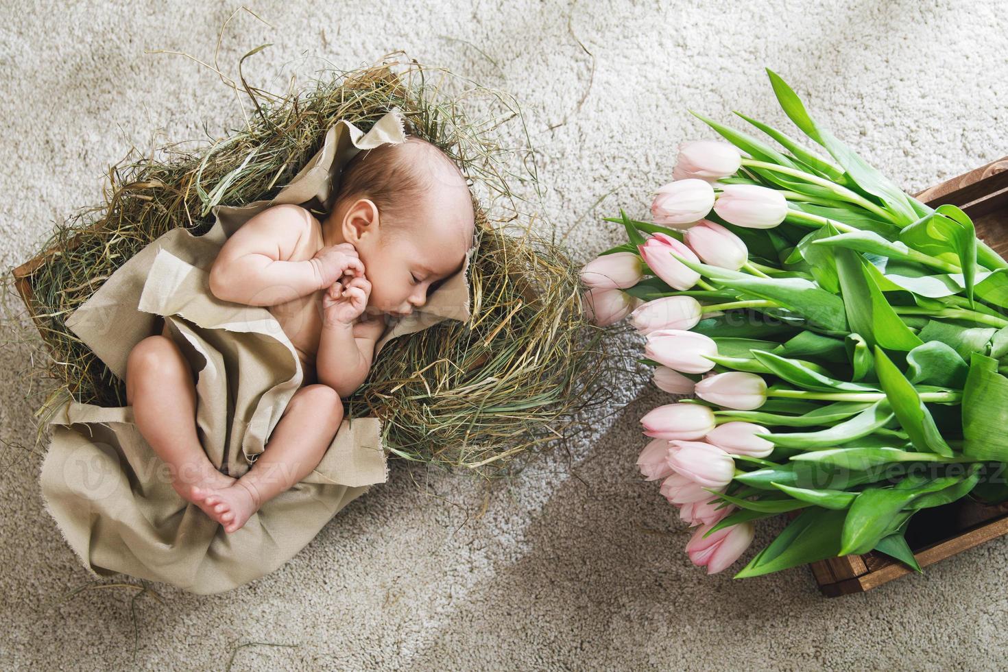 Cute little baby is lying in the wooden box and heap of pink tulips photo