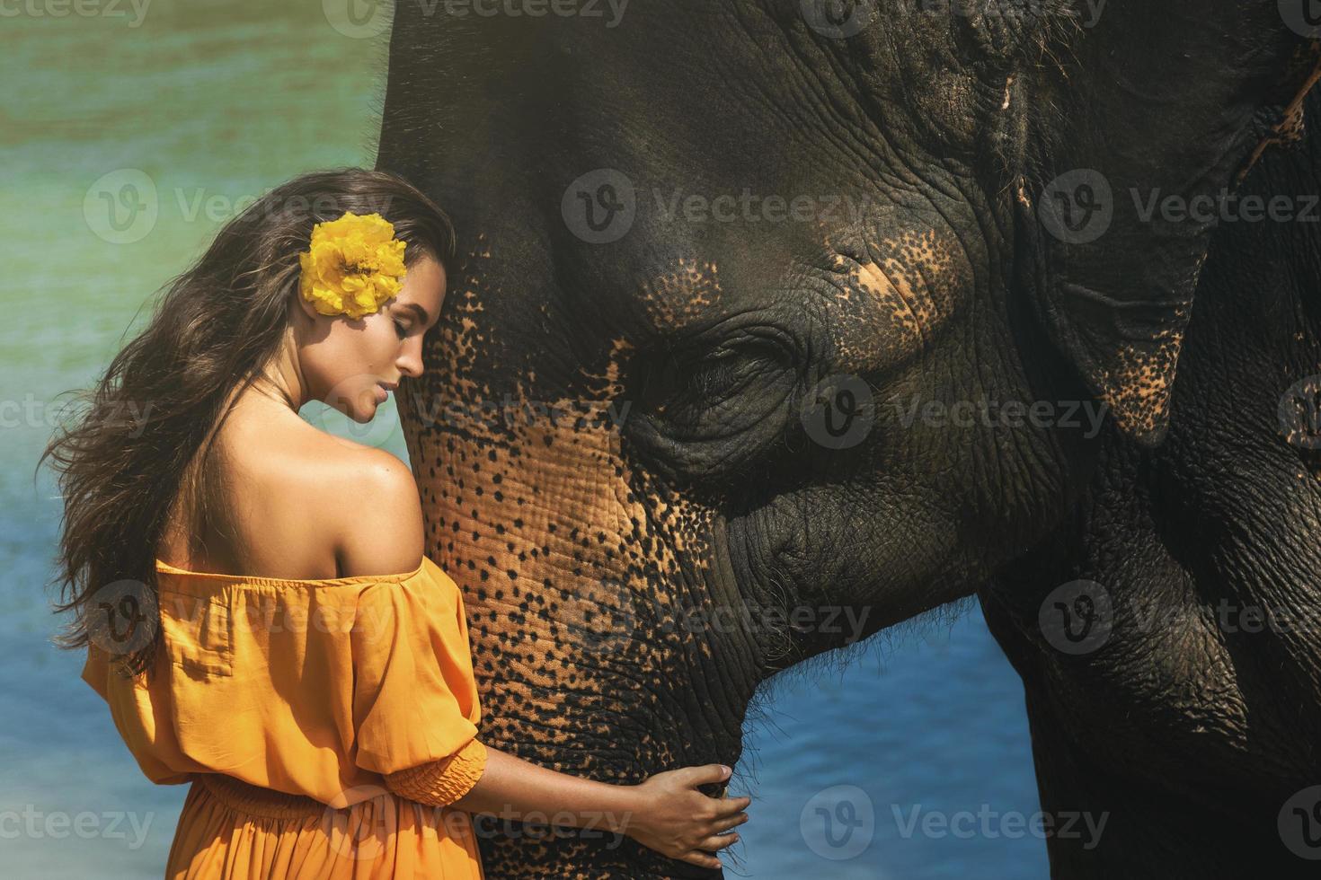 Woman in beautiful orange dress and mighty elephant photo