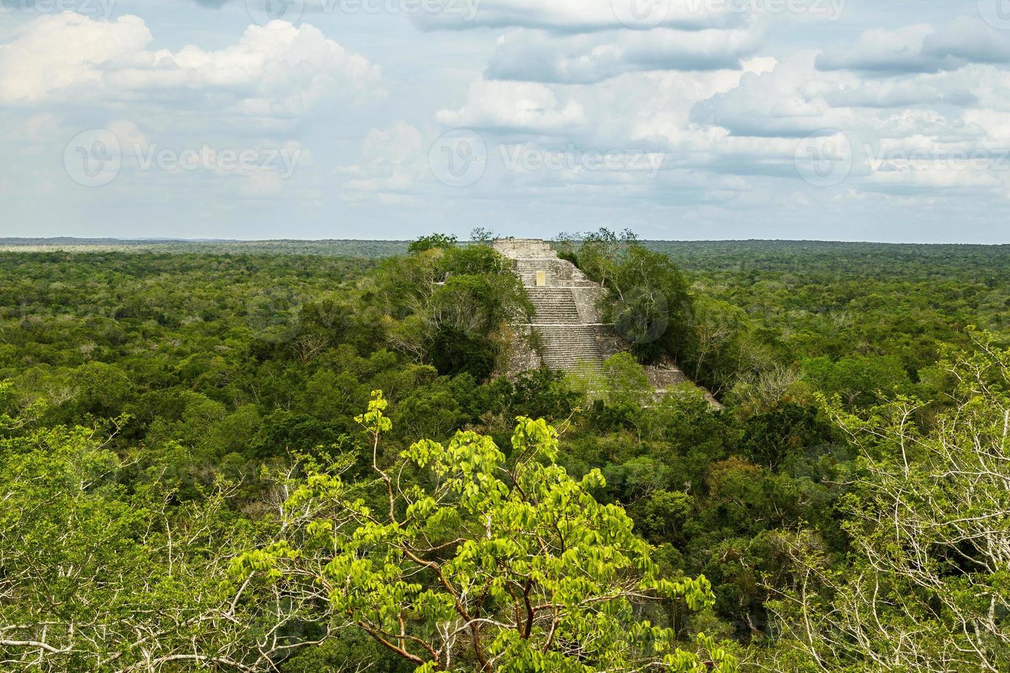 Ancient Mayan pyramid in the green jungle photo