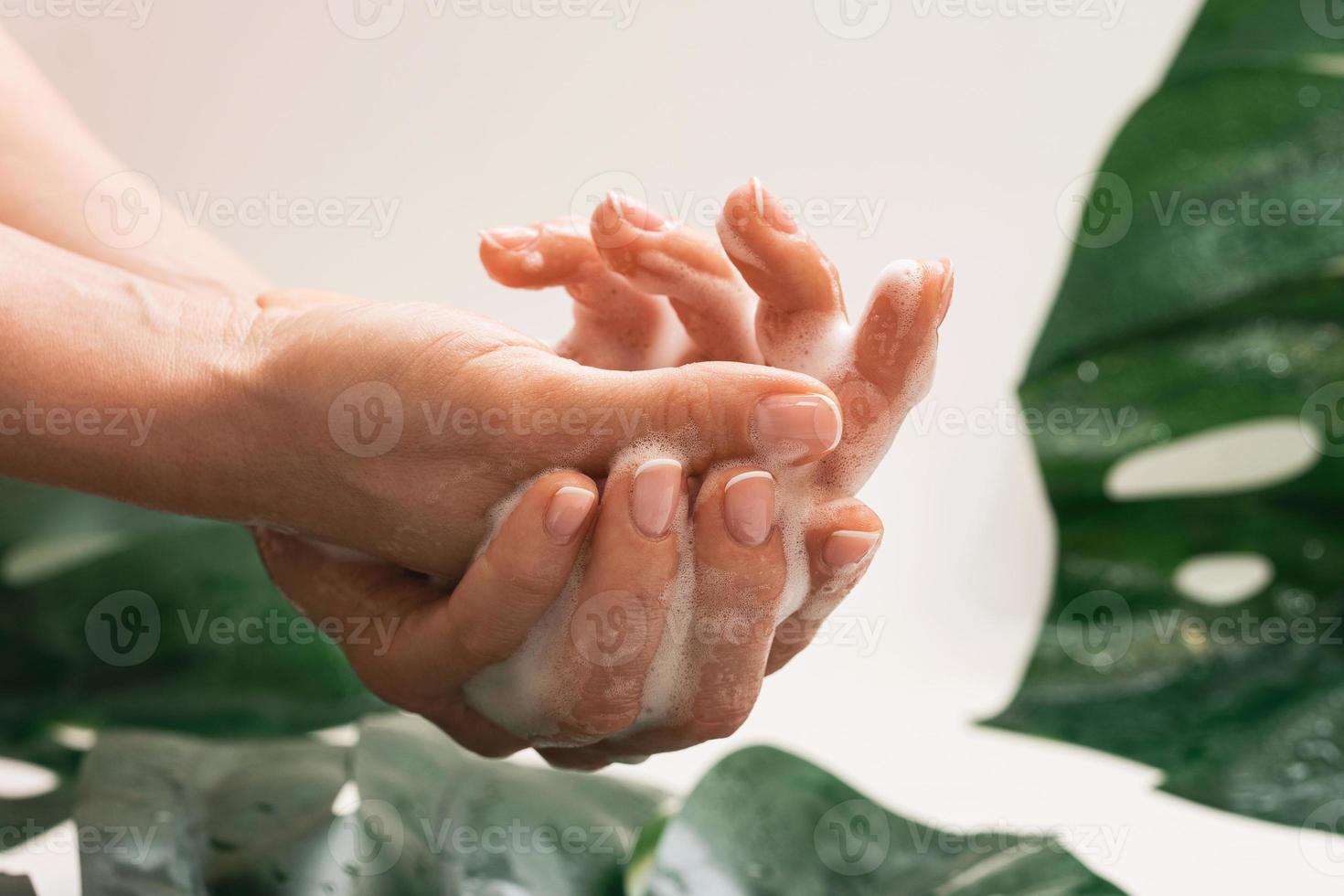 Closeup of female hands with cleansing foam photo