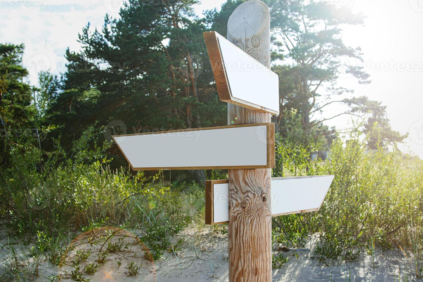 Wooden signpost with blank arrows pointing in different directions. photo