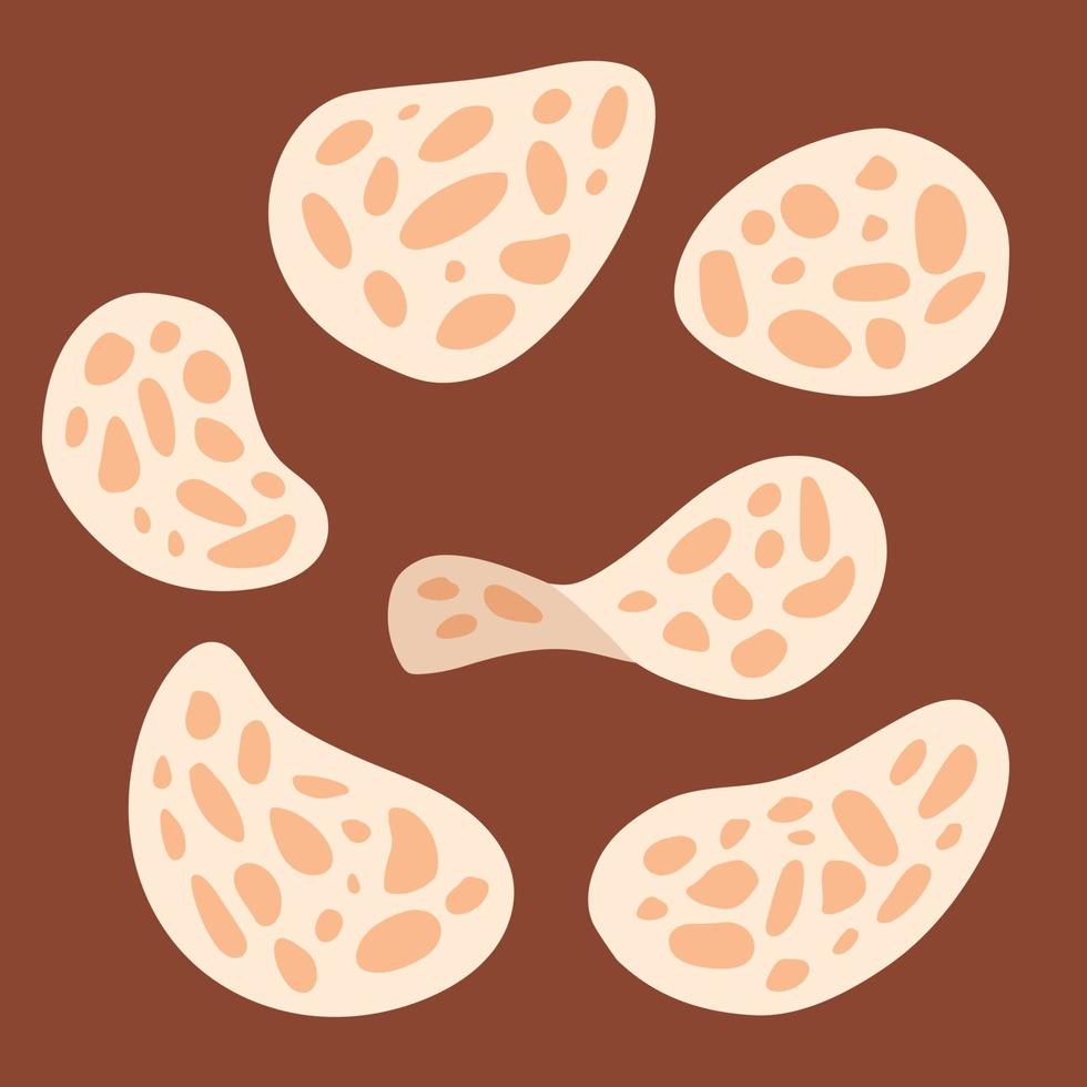 Tempeh chips snacks vector image