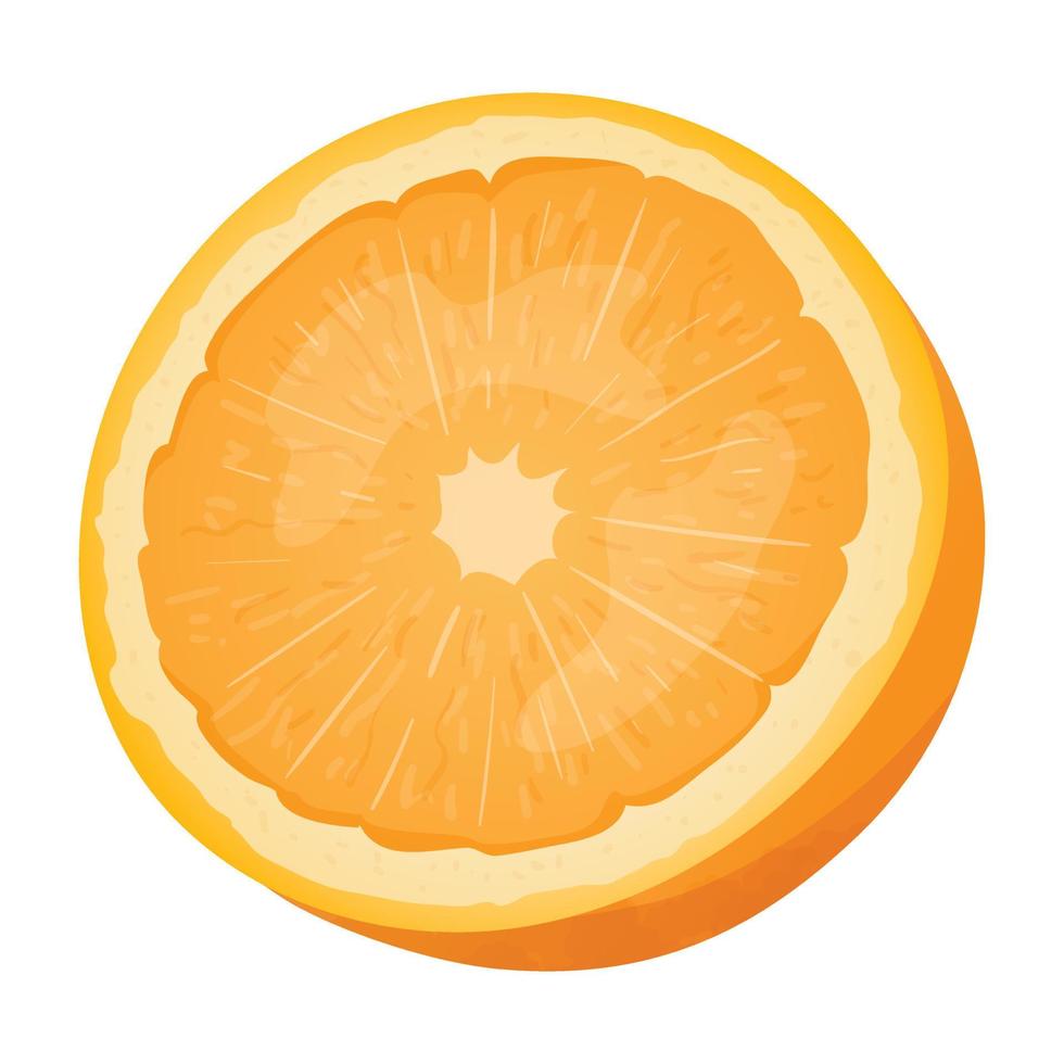 Vector illustration of half an orange with zest, twig and leaf. A healthy and natural citrus fruit with pulp.