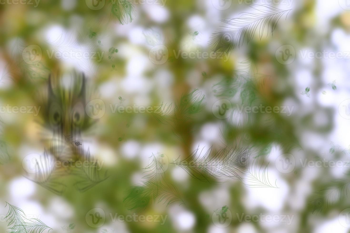 natural green bokeh abstract background,blurred textured photo