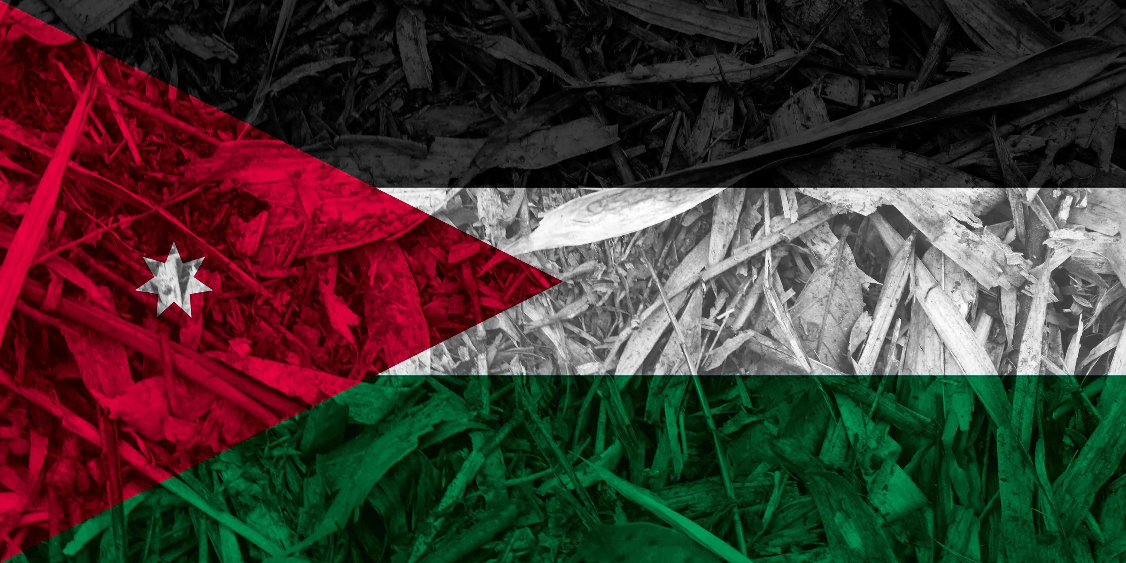 jordan flag texture as a background 16263687 Stock Photo at Vecteezy
