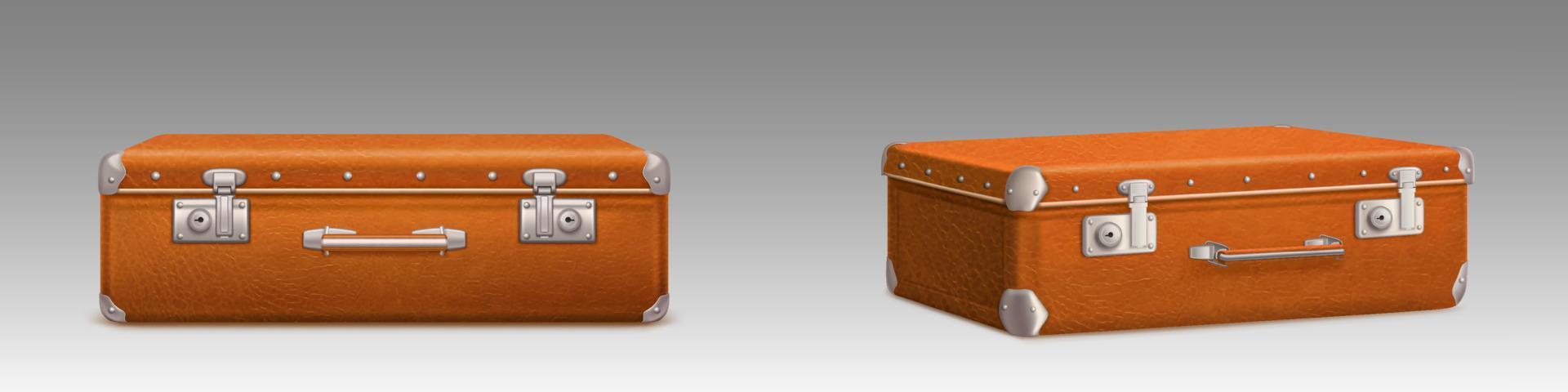 Vintage suitcase, closed brown briefcase vector