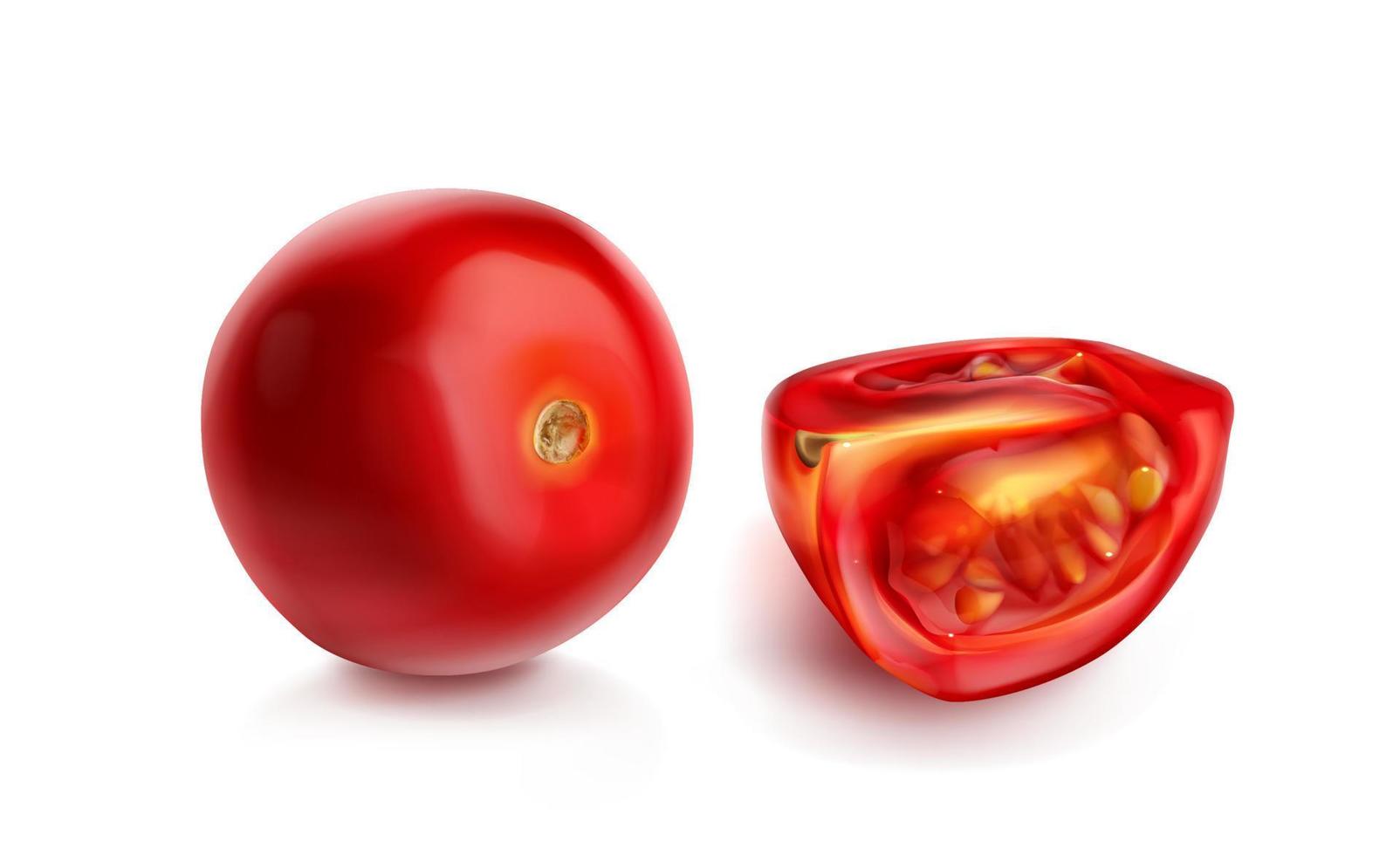 Tomato cherry, red tomatoes whole and slice vector