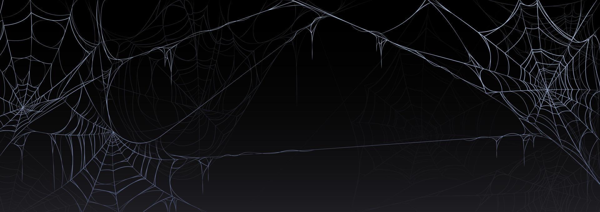 Scary Halloween banner with old spider web vector