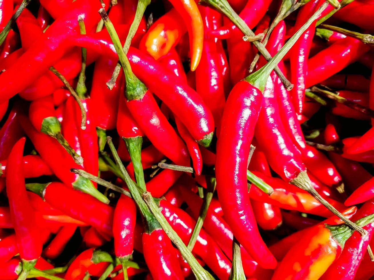 Closeup red chilli full screen background and wallpaper. photo