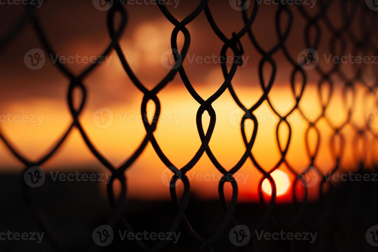 sunset through mesh fence photo