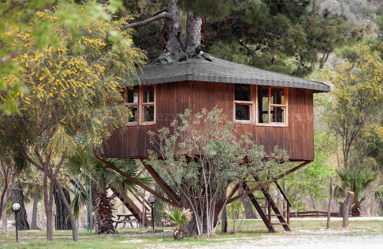 una hermosa casa grande en el árbol como la real. foto