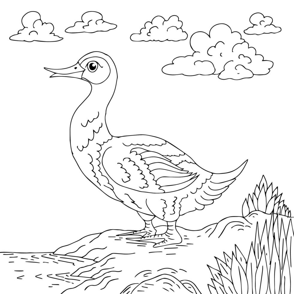 design cute duck character coloring page vector