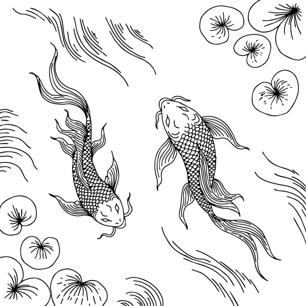 design illustration asian gold fish outline vector