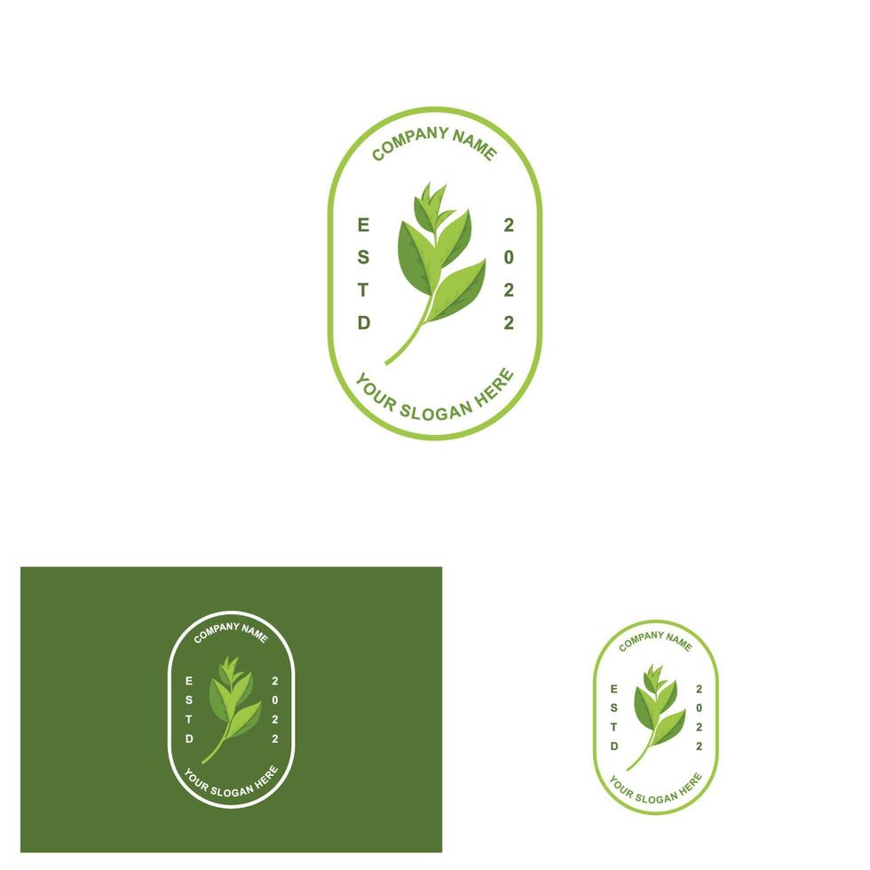 Vector Illustration of green plant matcha logo made as matcha drink or matcha dessert, green tea design