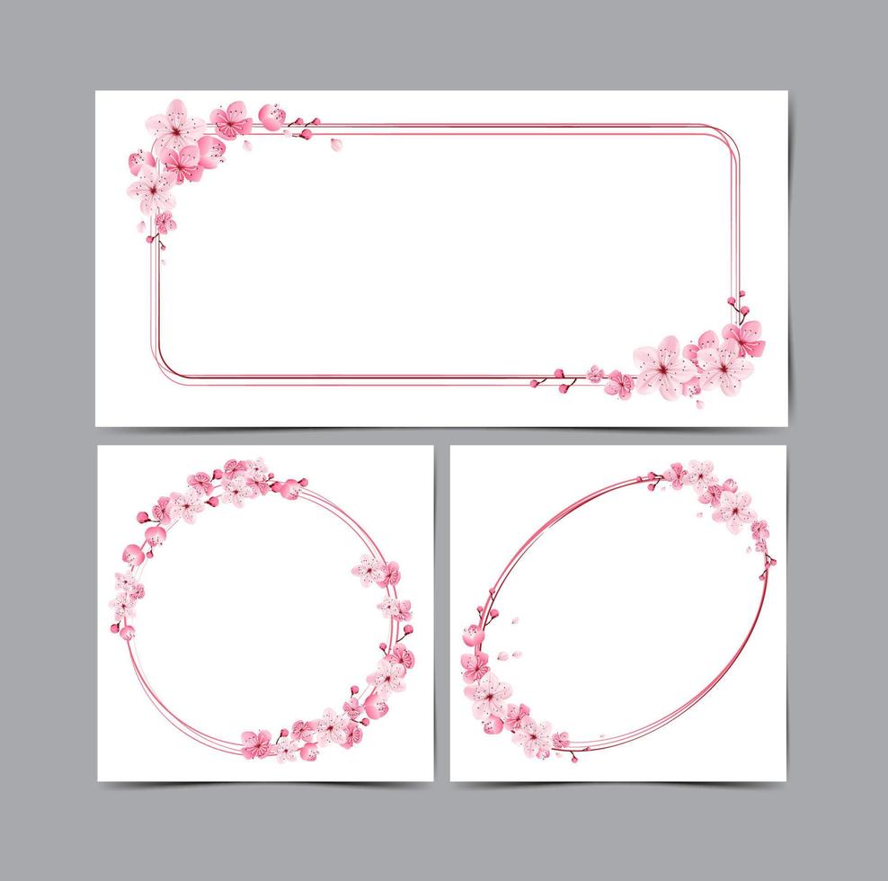 cherry blossoms border, template frame flower, vector