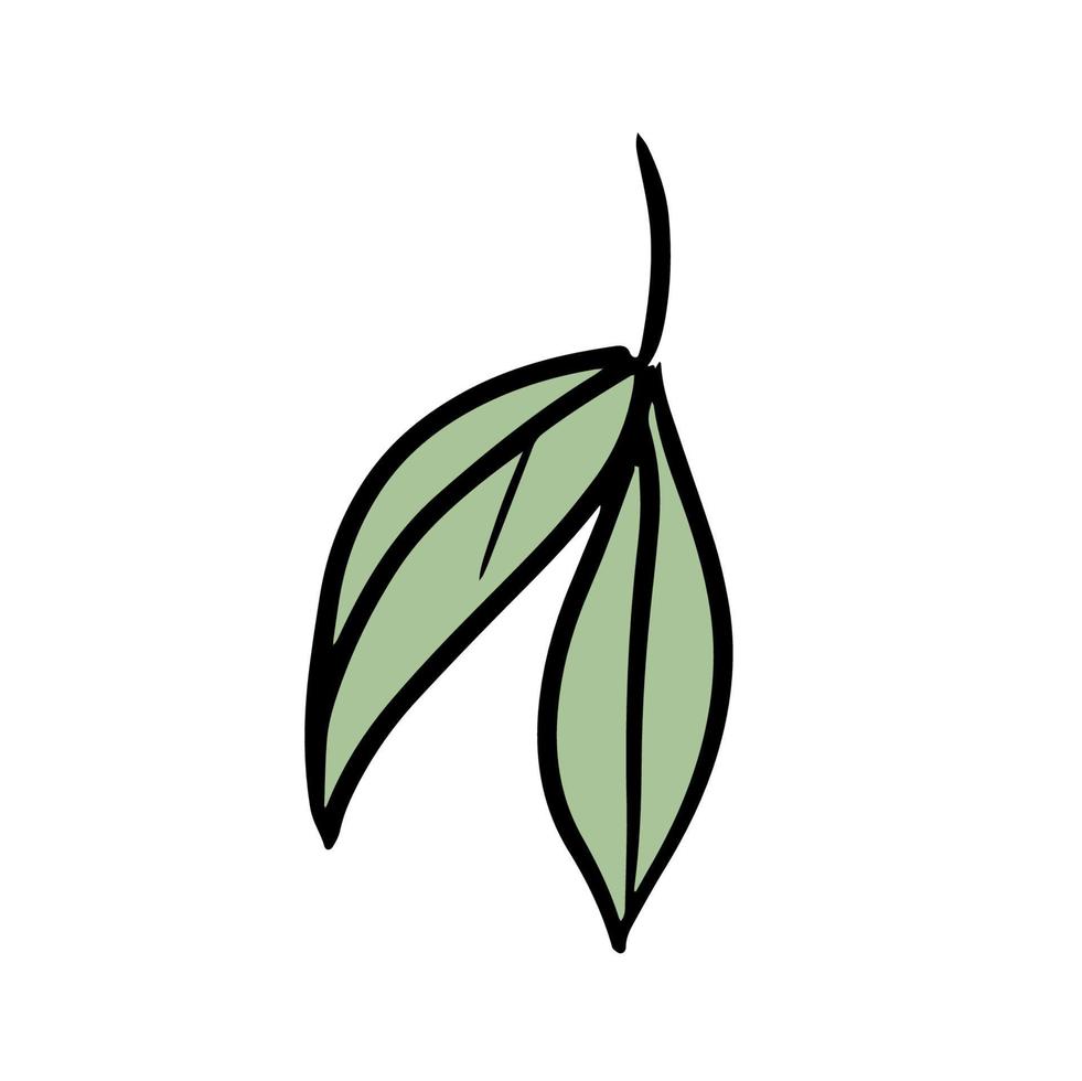 Tea leaf isolated on white. Doodle vector illustration