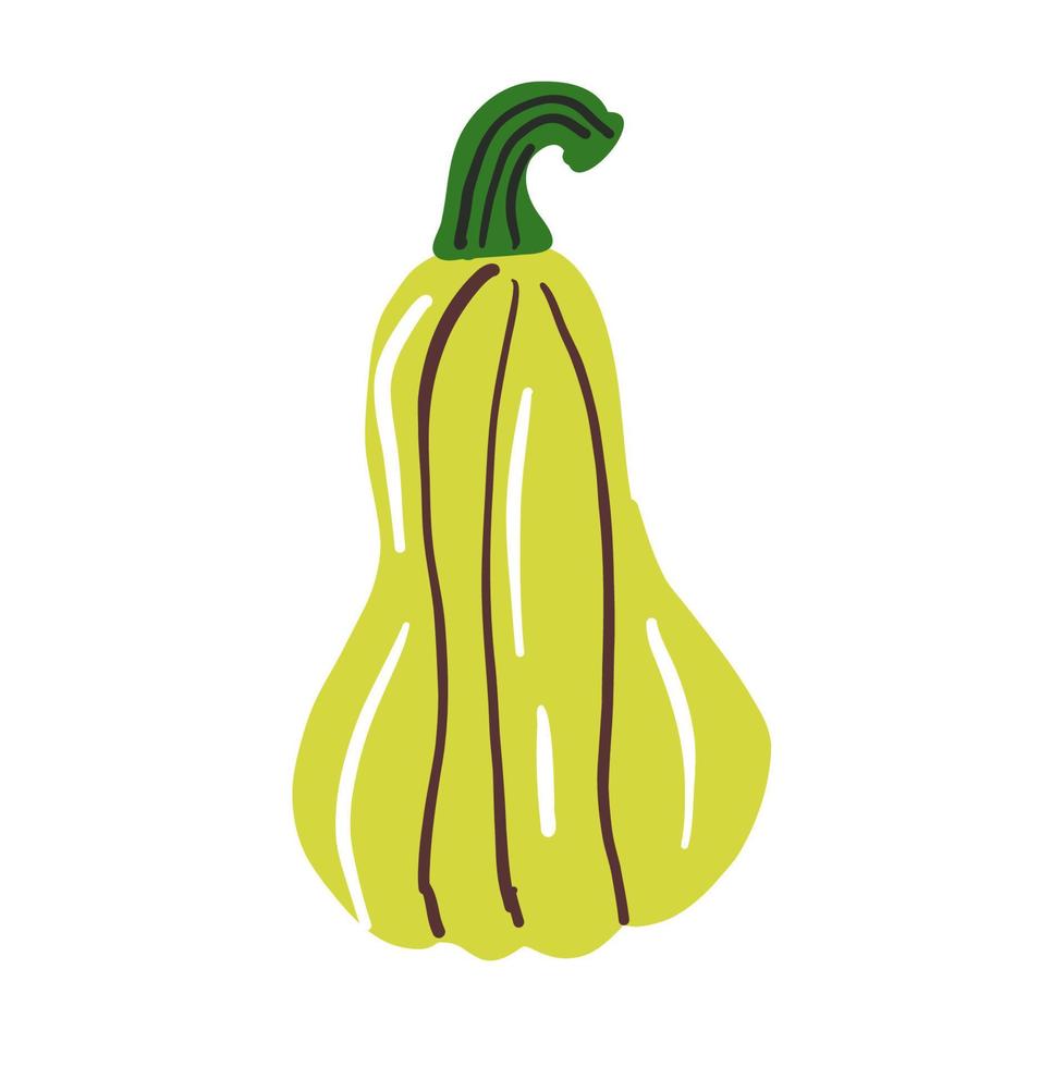 Pumpkin isolated on white. Doodle vector illustration.