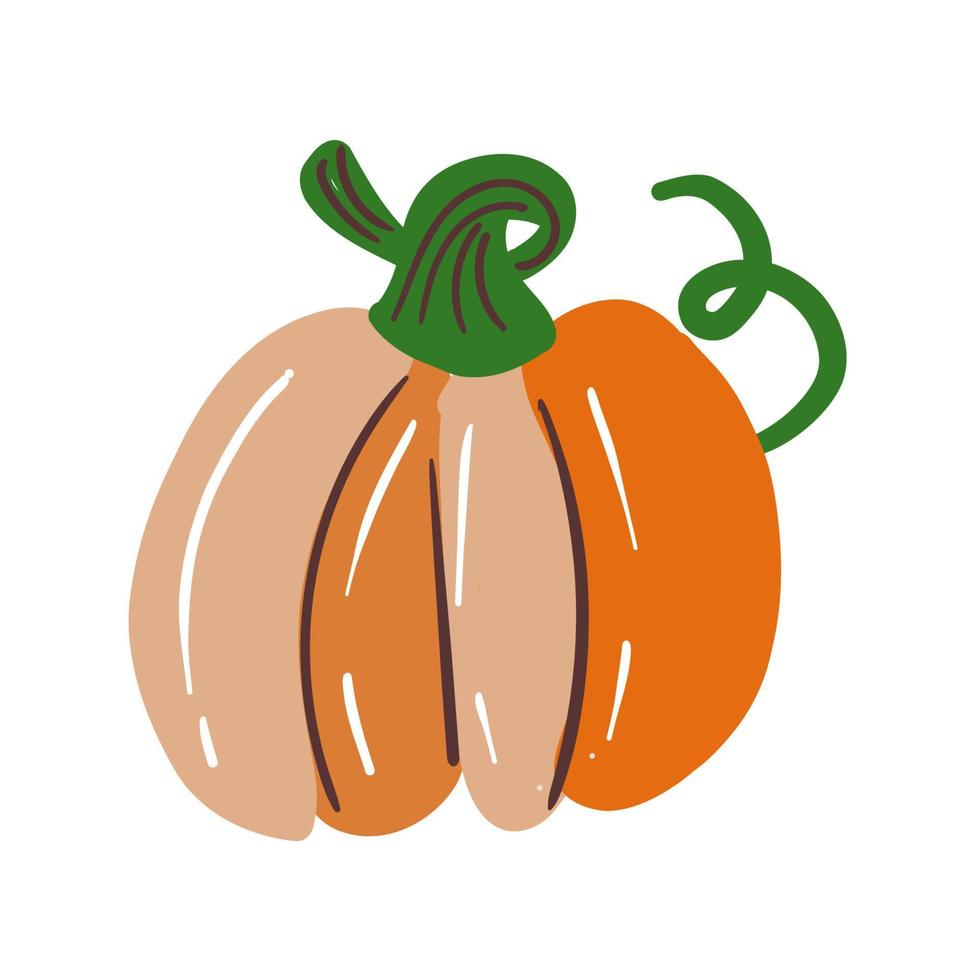 Pumpkin isolated on white. Doodle vector illustration.