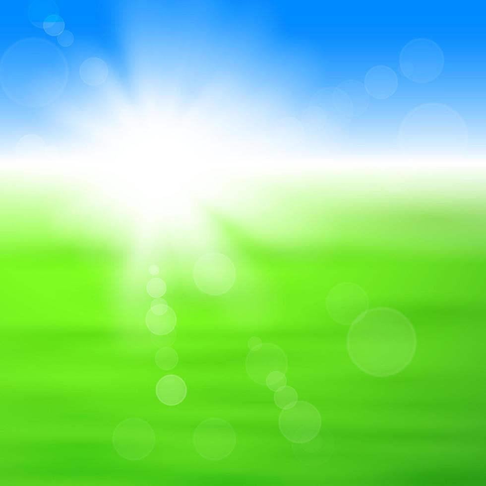 Background with shiny sun with flares over the green field vector