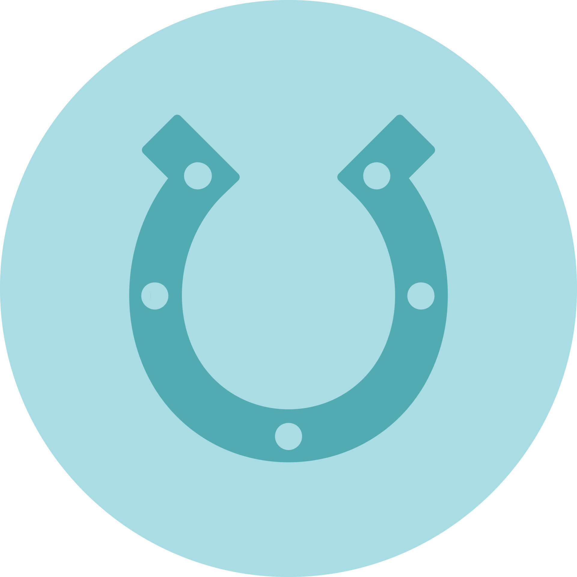 Horseshoe Vector Icon 16273129 Vector Art at Vecteezy