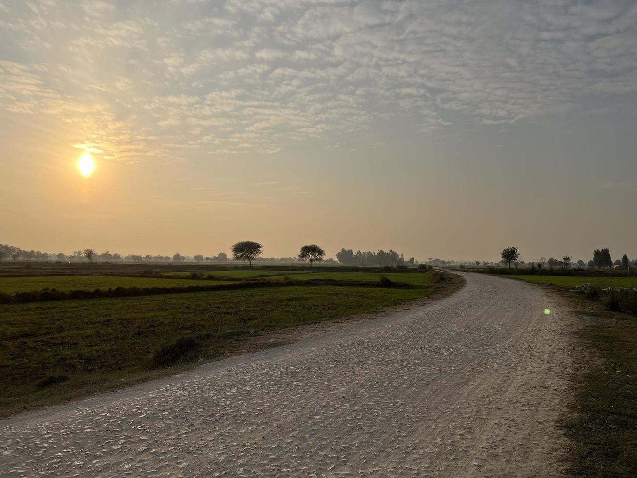 Cinematic color graded aerial view of a field crops in the village of Pakistan Beautiful landscape view of rice field in Thathi Mianwali photo