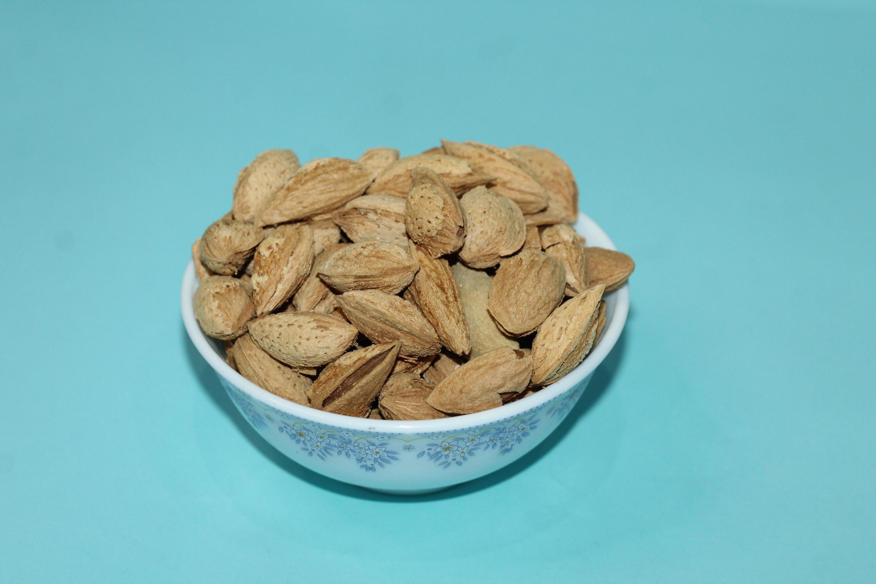 Composition with dried fruits and assorted nuts free to downloads