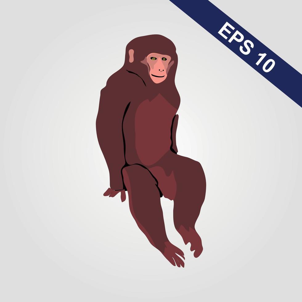 Cute monkey icon. Vector illustration isolated on a grey background.