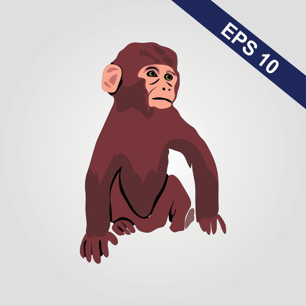 Cute monkey icon. Vector illustration isolated on a grey background.