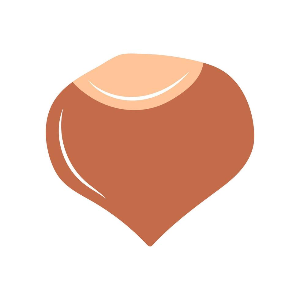 Simple illustration of hand-drawn hazelnut nut. vector illustration