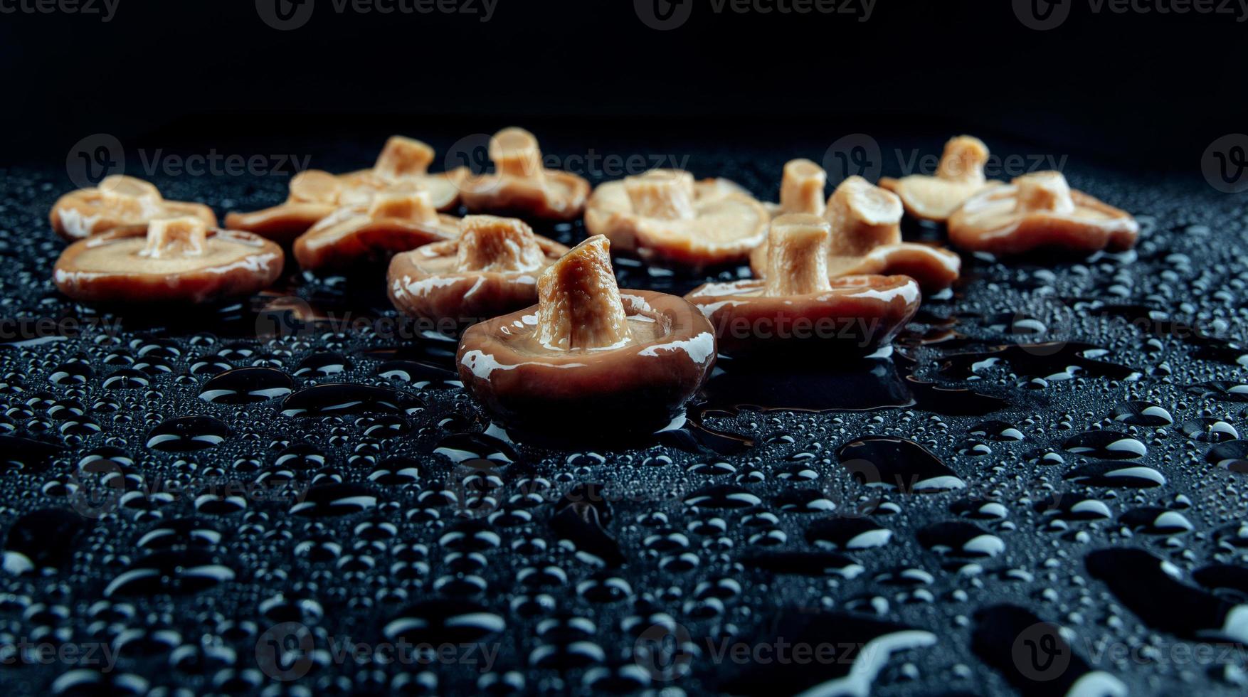 Pickled black milk mushroom on a black background with water drops . photo