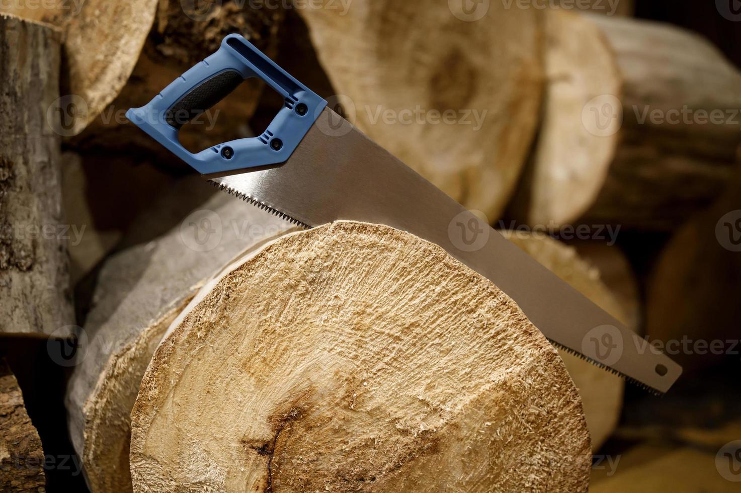 A hacksaw on a tree with a blue plastic handle saws a tree photo