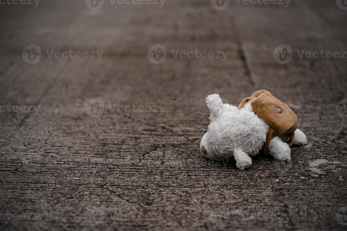 lonely teddy bear sleep on cement floor for created postcard  of international missing children, broken heart, lonely, sad, alone unwanted cute doll lost. photo