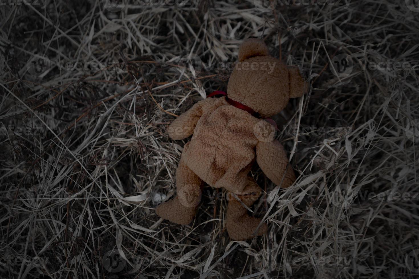 lonely teddy bear sleep on ground for created postcard  of international missing children, broken heart, lonely, sad, alone unwanted cute doll lost. photo