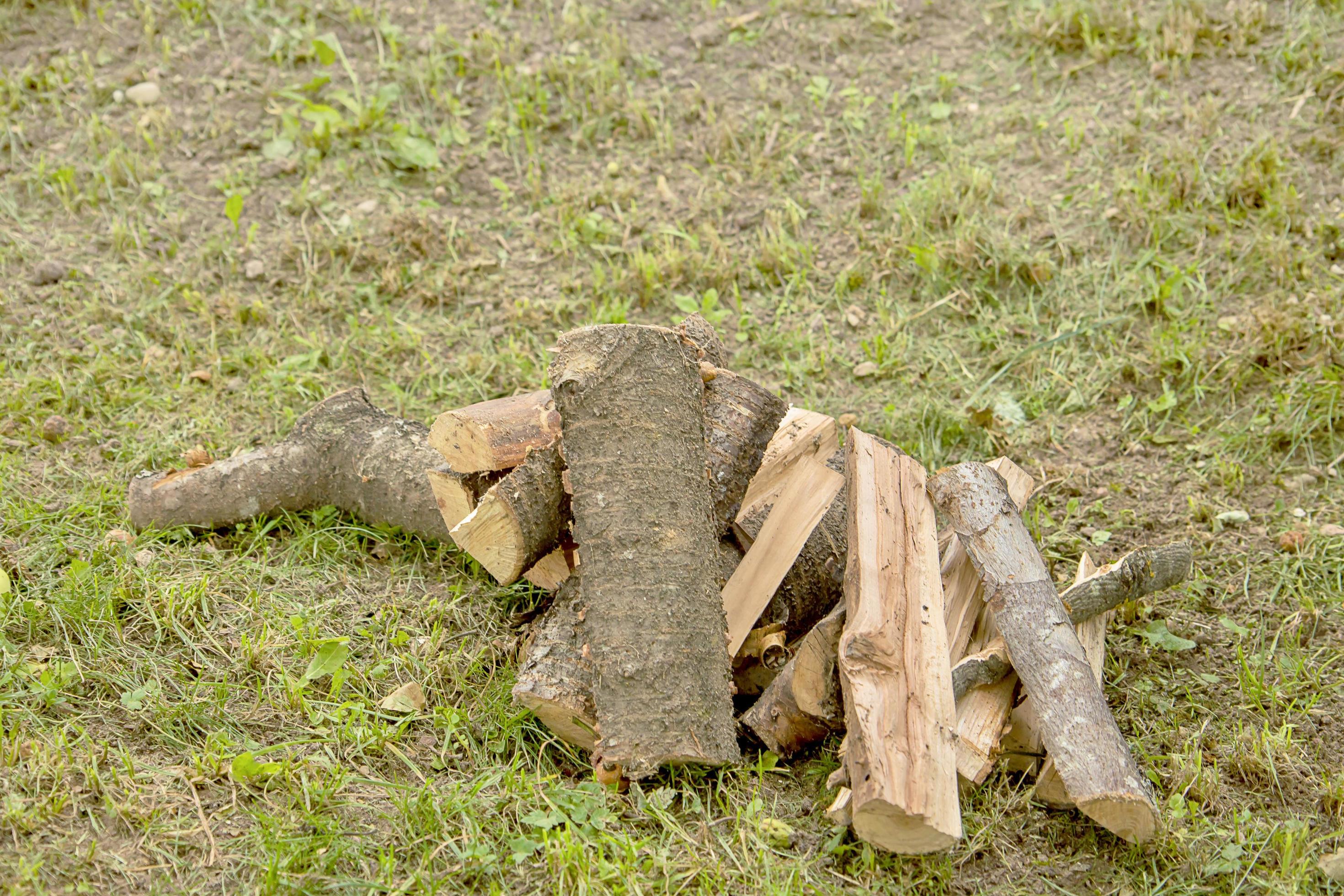 chopped wood for a fireplace on the grass 16275630 Stock Photo at Vecteezy