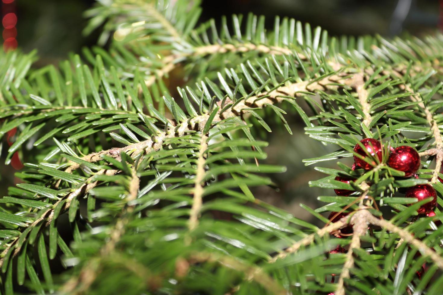 adornos navideños que se encuentran en un árbol natural, ofreciendo color y un impacto visual especial foto