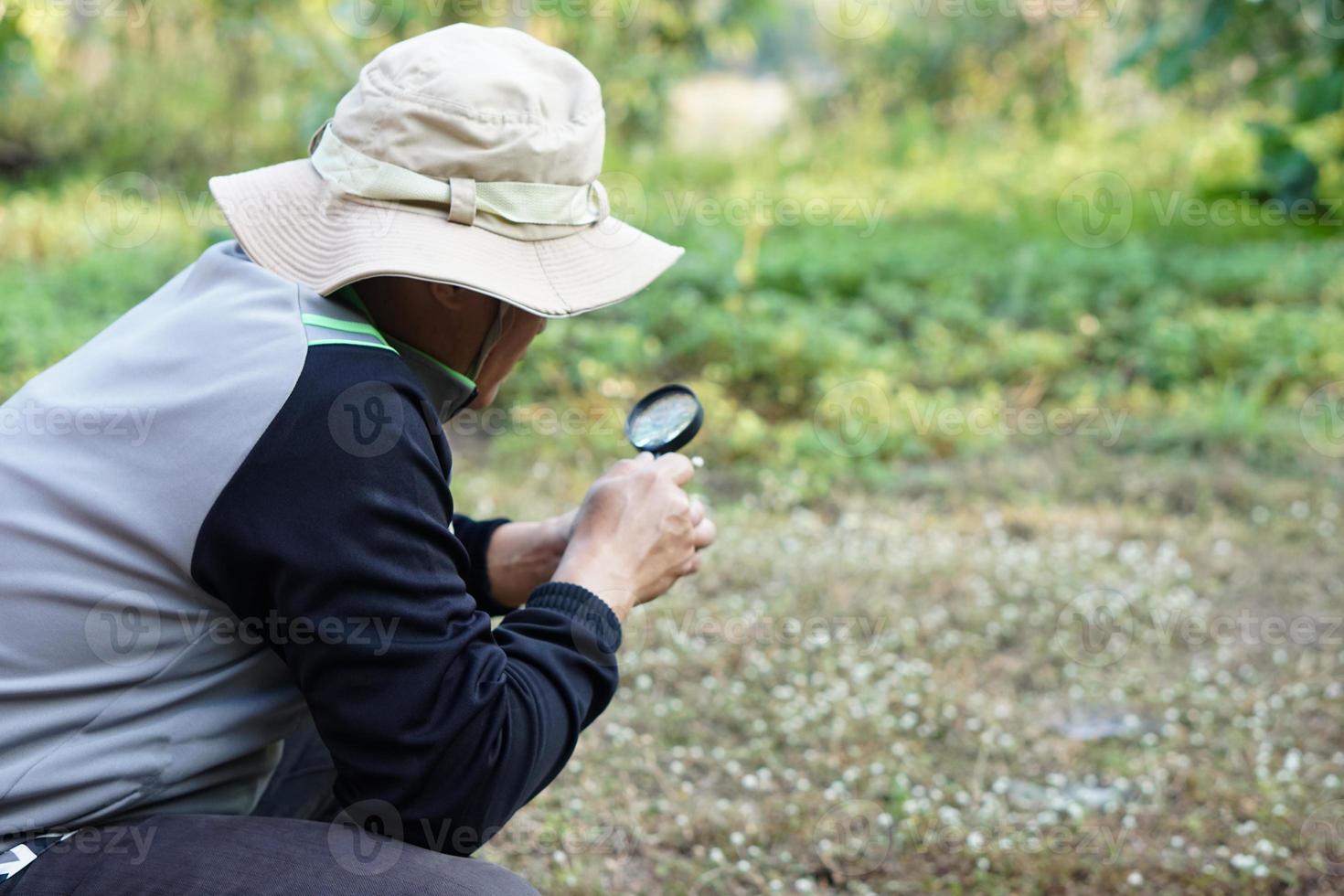 Man explorer holds magnify glass to explore tiny plants in garden. Concept, examine, explore, research nature or biological organisms. Study about environment and plants. photo