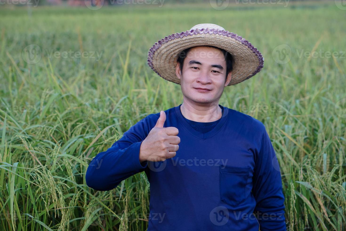 el retrato de un granjero asiático guapo está en un campo de arroz, usa sombrero, camisa azul, pulgares hacia arriba. concepto, ocupación agrícola. agricultor con arroz orgánico. foto