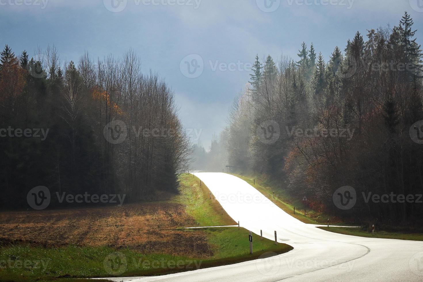 Beautiful light falling on asphalt road by sunset sky through clouds with pine forest from both sides and bare autumn field photo