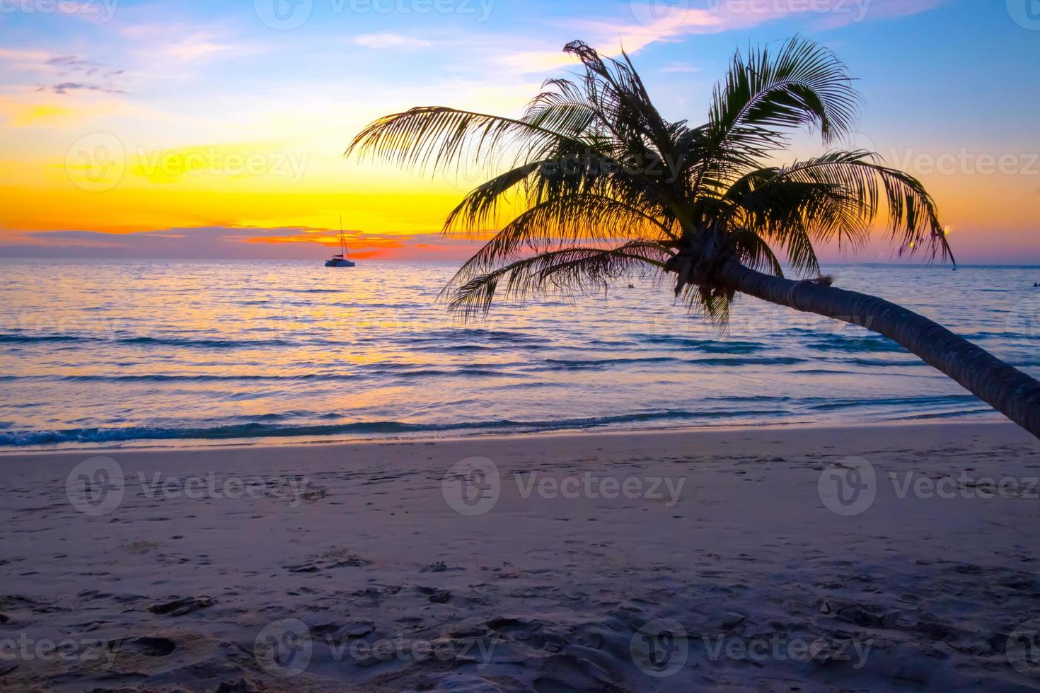 Beautiful sunset over the sea with palm tree on the tropical beach and blue sky for travel in holiday relax time, photo style vintage