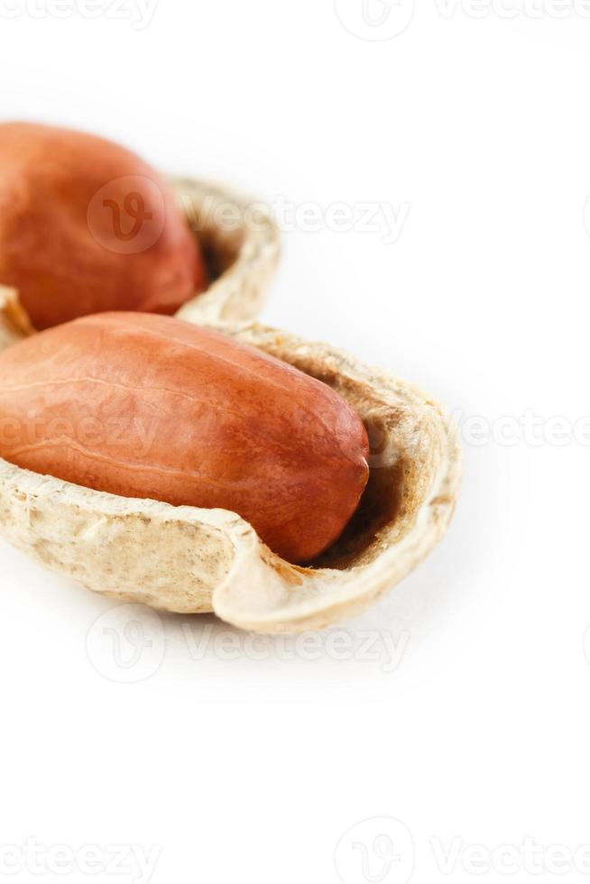 cacahuetes en una mazorca pelada, dos granos aislados en fondo blanco foto