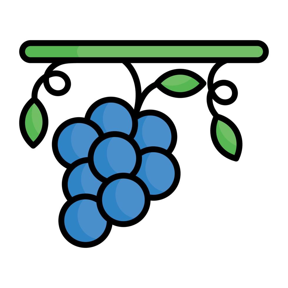 An icon of grapes, antioxidant fruit vector