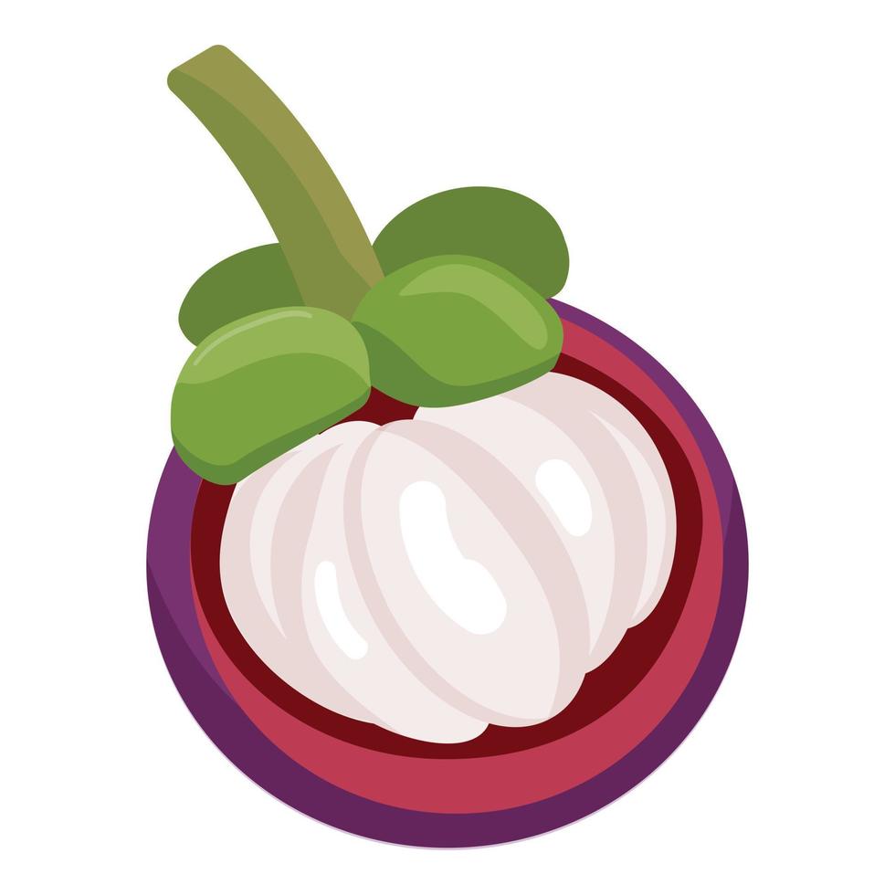 vector de dibujos animados de icono de fruta de verano. comida mangostán