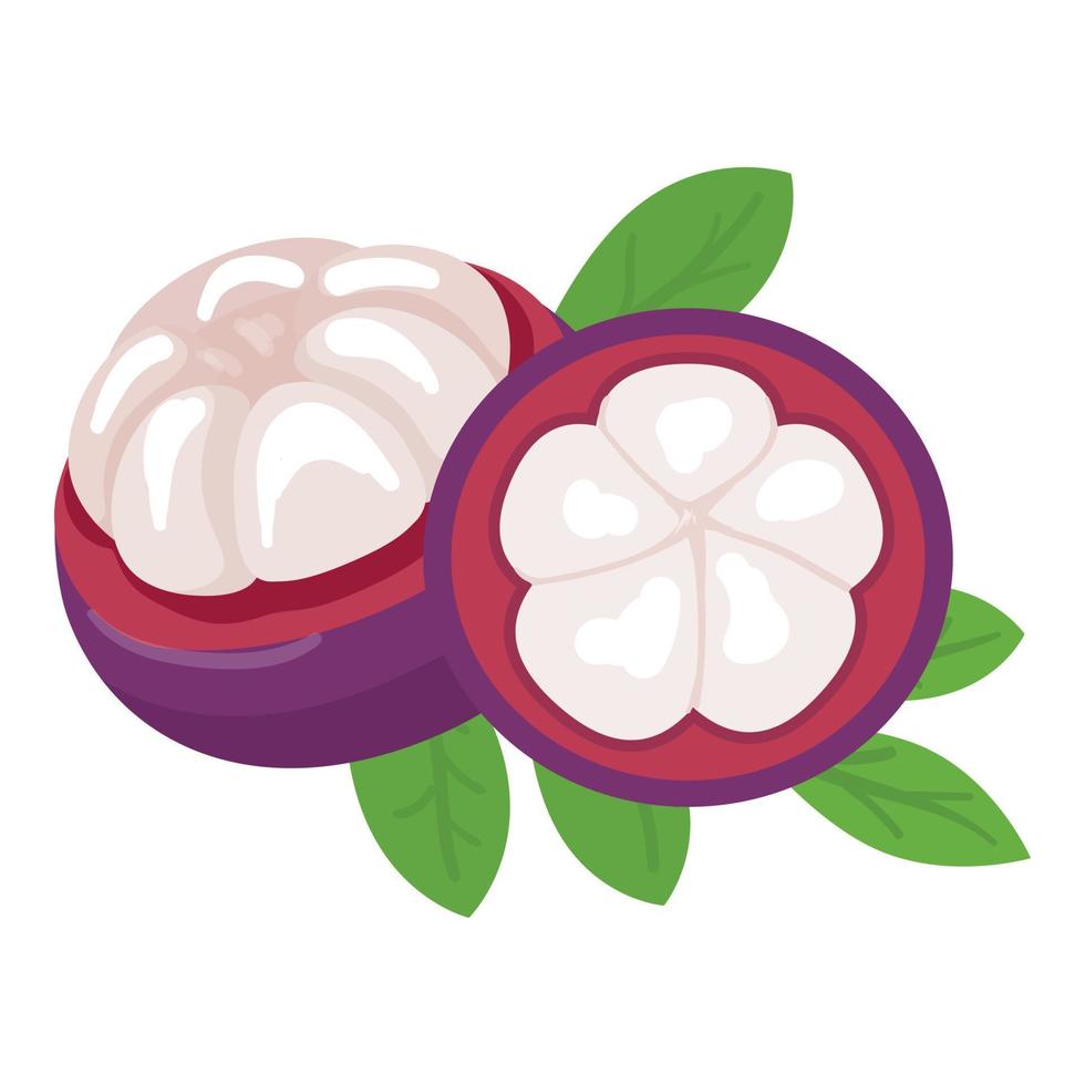 flor mangostán icono vector de dibujos animados. fruta garcinia